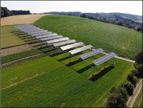 Agriphotovoltaic Example_New Energy